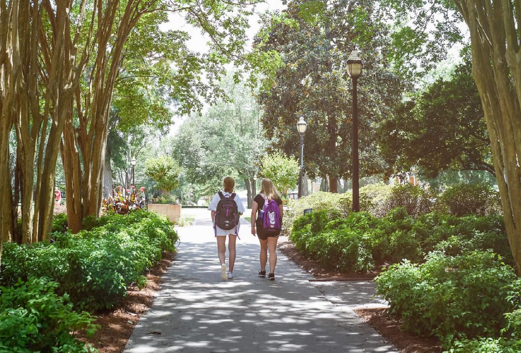 students walking on shady campus walkway