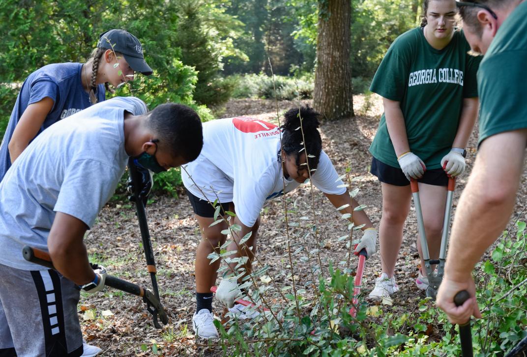 Students planting bushes at GC Gives Day