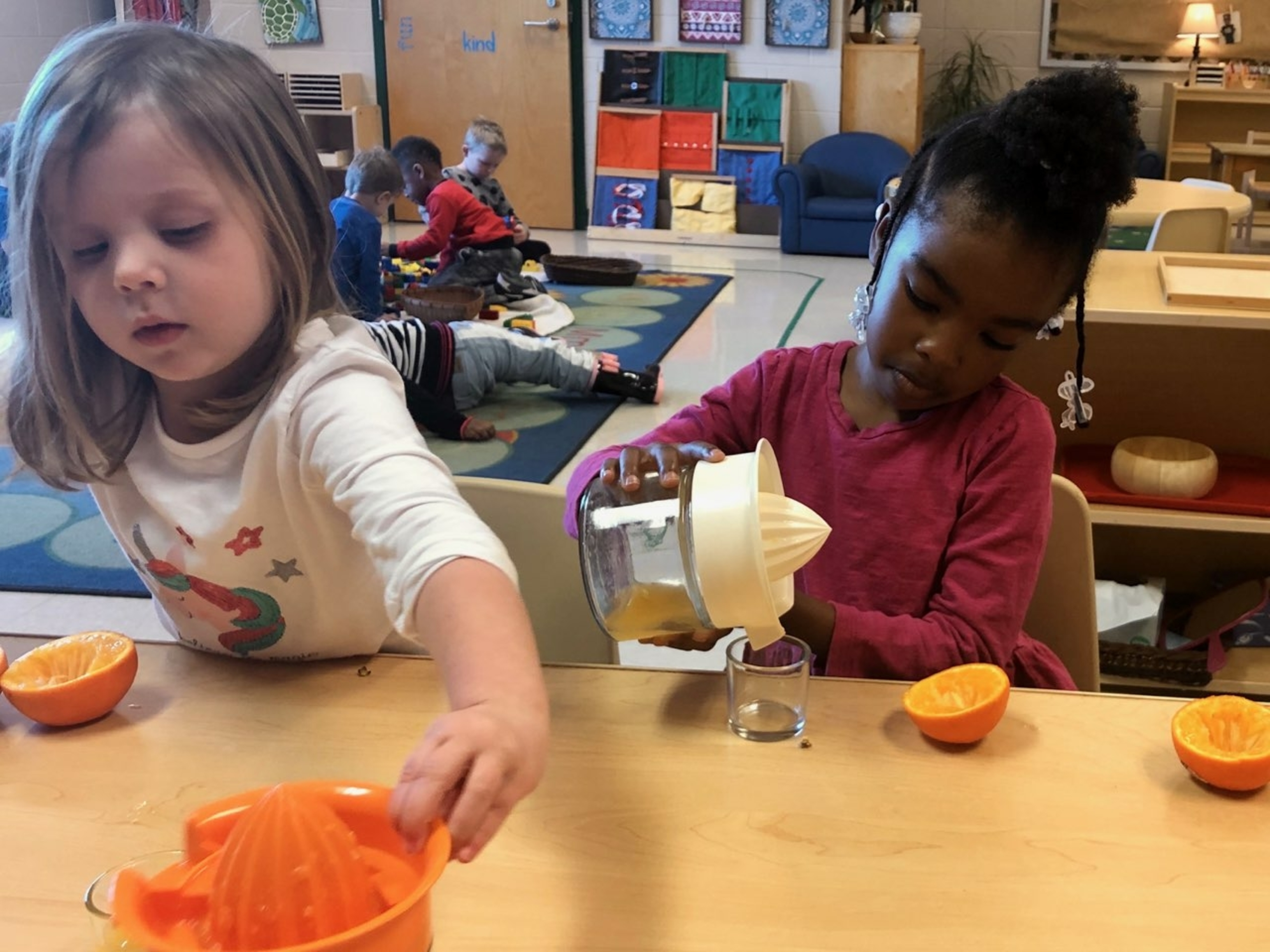 Montessori Academy College