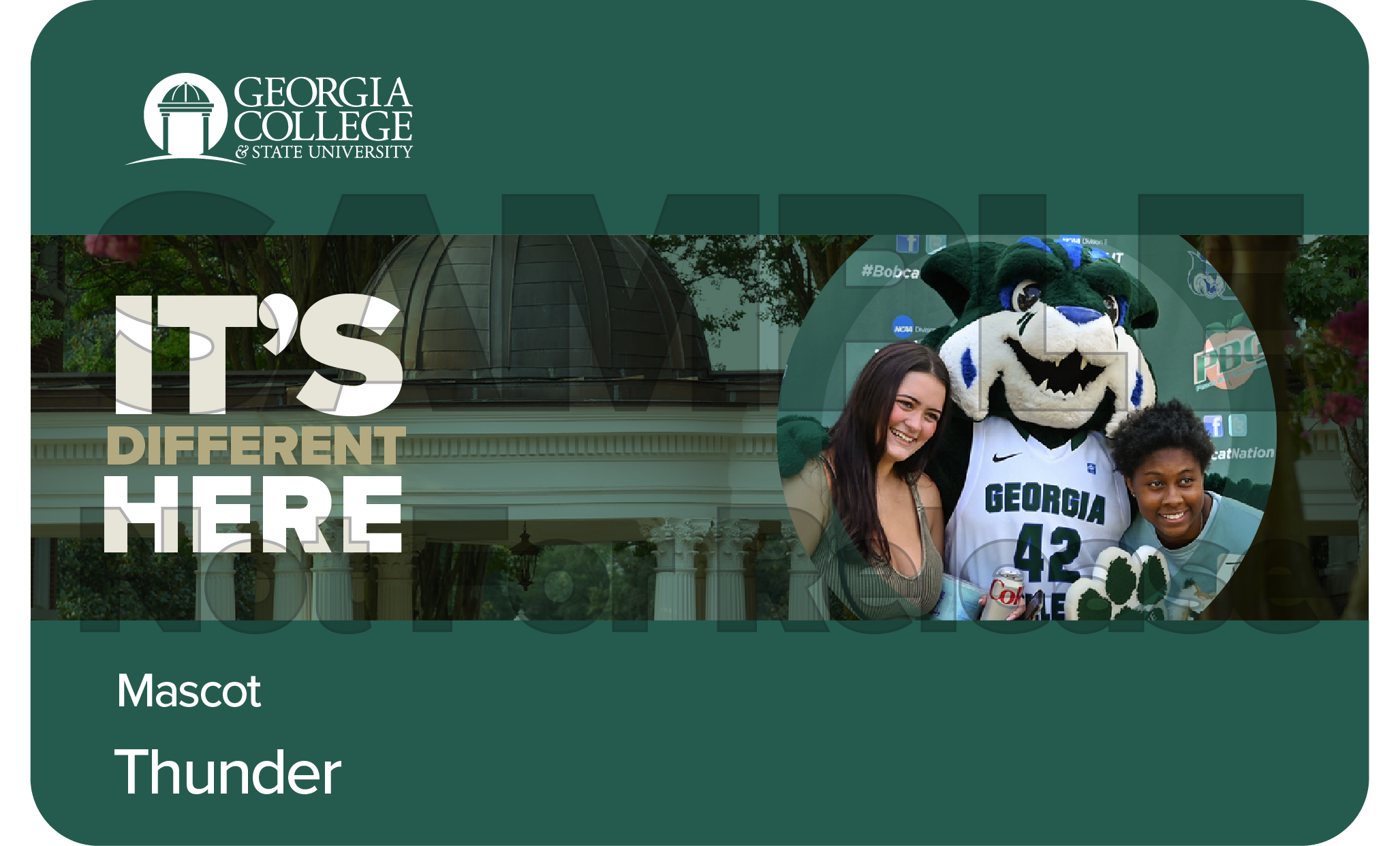 Sample of digital bobcat card