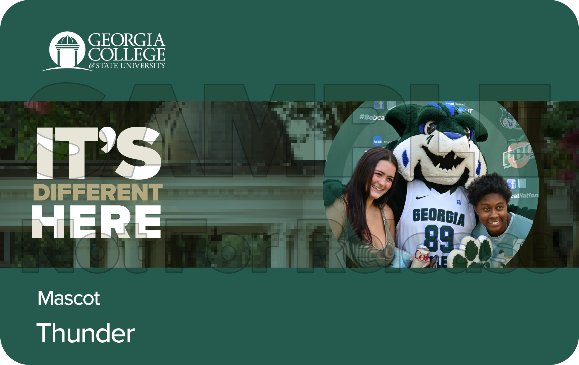 Sample of digital bobcat card