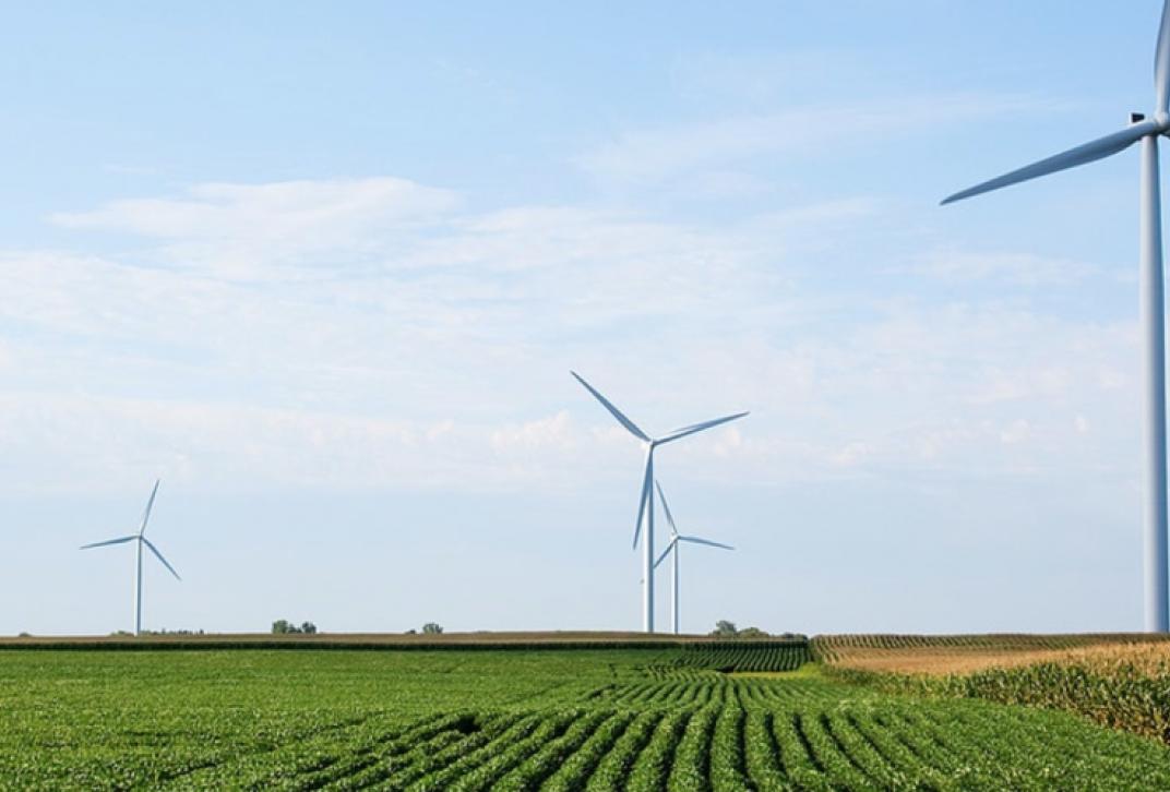 Wind turbines in open field