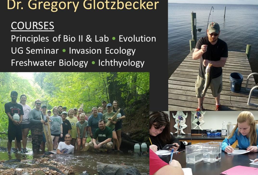 Greg Glotzbecker Research and Teaching 