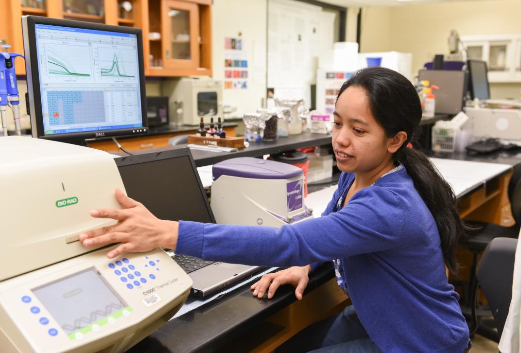 A student works on a machine looking for virus proteins