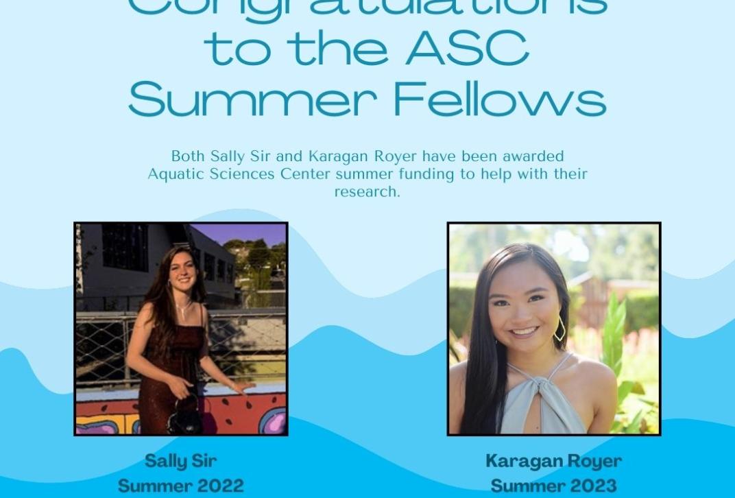 ASC Summer Fellows