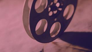 Milly 48