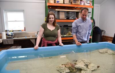 A professor and a student look over a tank of sea animals