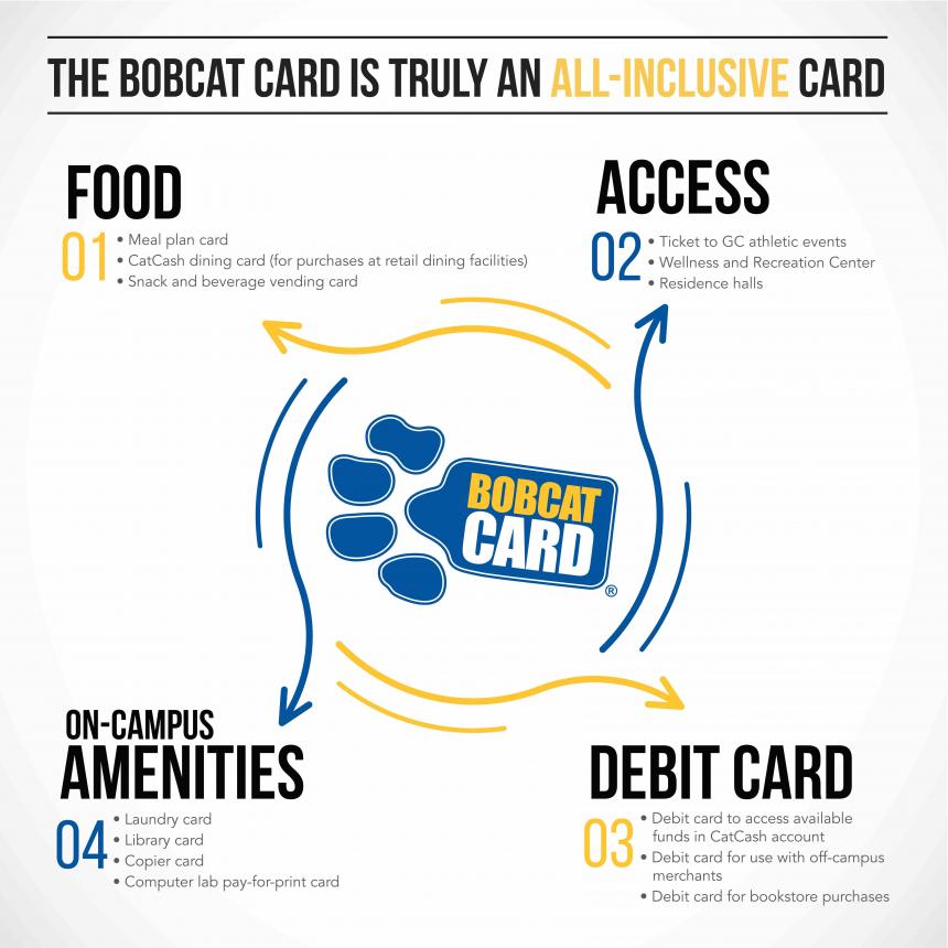 bobcat card infographic