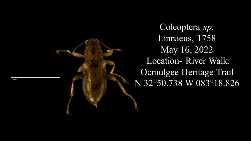 ASC MAcro Slide 16