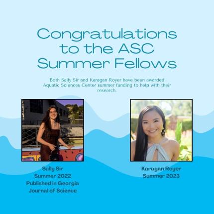 ASC Summer Fellows