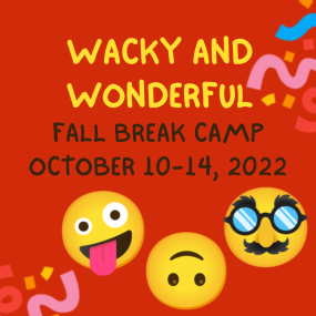 Wacky and Wonderful Fall Break Camp October 10-14, 2022