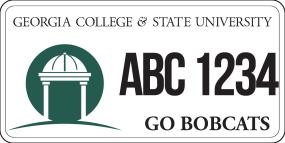 License Plate Option A