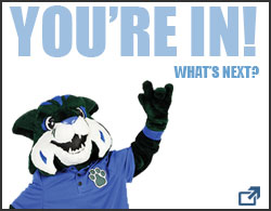 This is an image of a white box with a black border. Inside the box there is text that reads "You're In! What's Next?". Also inside the box, in the bottom right corner, is an arrow that links to the newly admitted next steps for enrollment page. This entire image is also linked to the newly admitted next steps for enrollment page.
