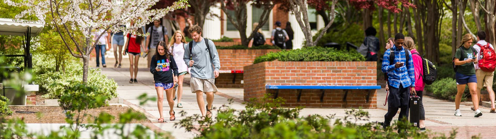 Apply to georgia college admissions georgia college